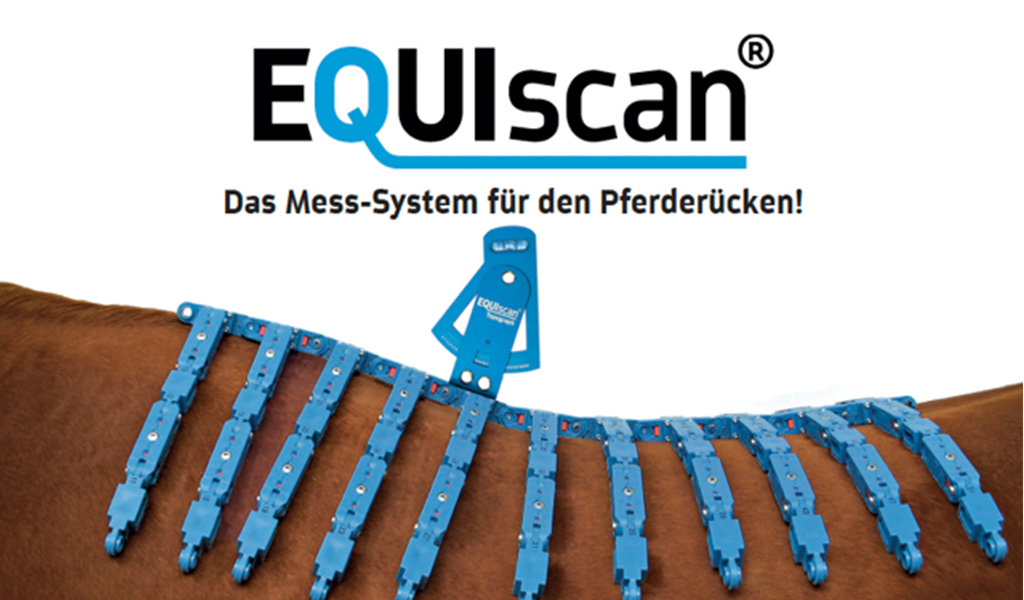 Equiscan Pferderückenvermessung